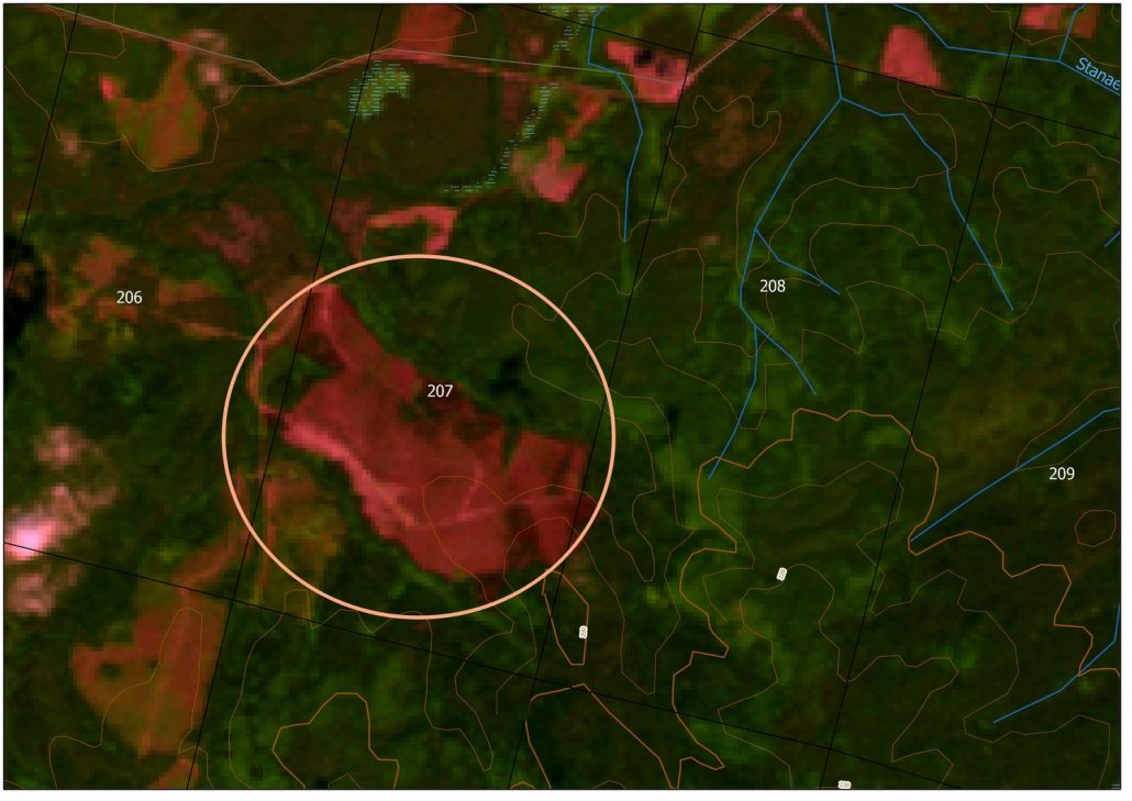 The same fire-site on a Landsat satellite image, 2010