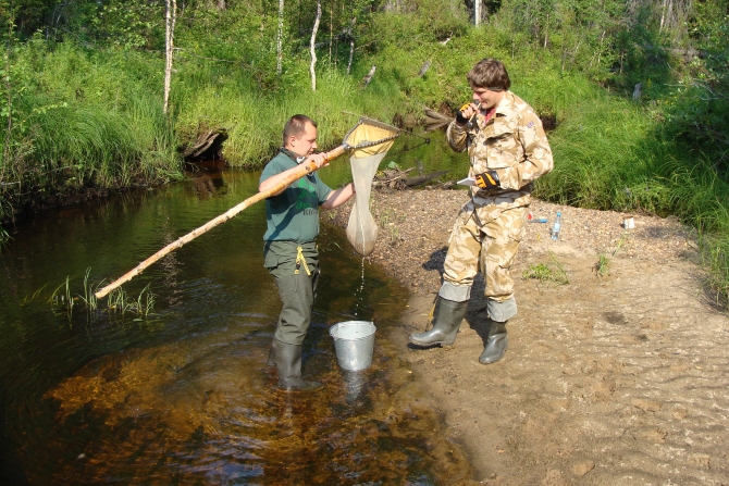 Сбор гидробиологических проб на реке Кужим