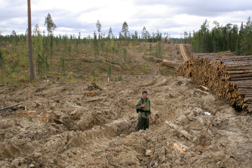 Logging and erosion, Pyssa River Basin