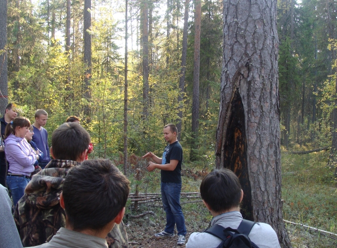 The first-year students of the Syktyvkar Forest Institute are getting familiar with the pine - old-timer of the Priluzje forests