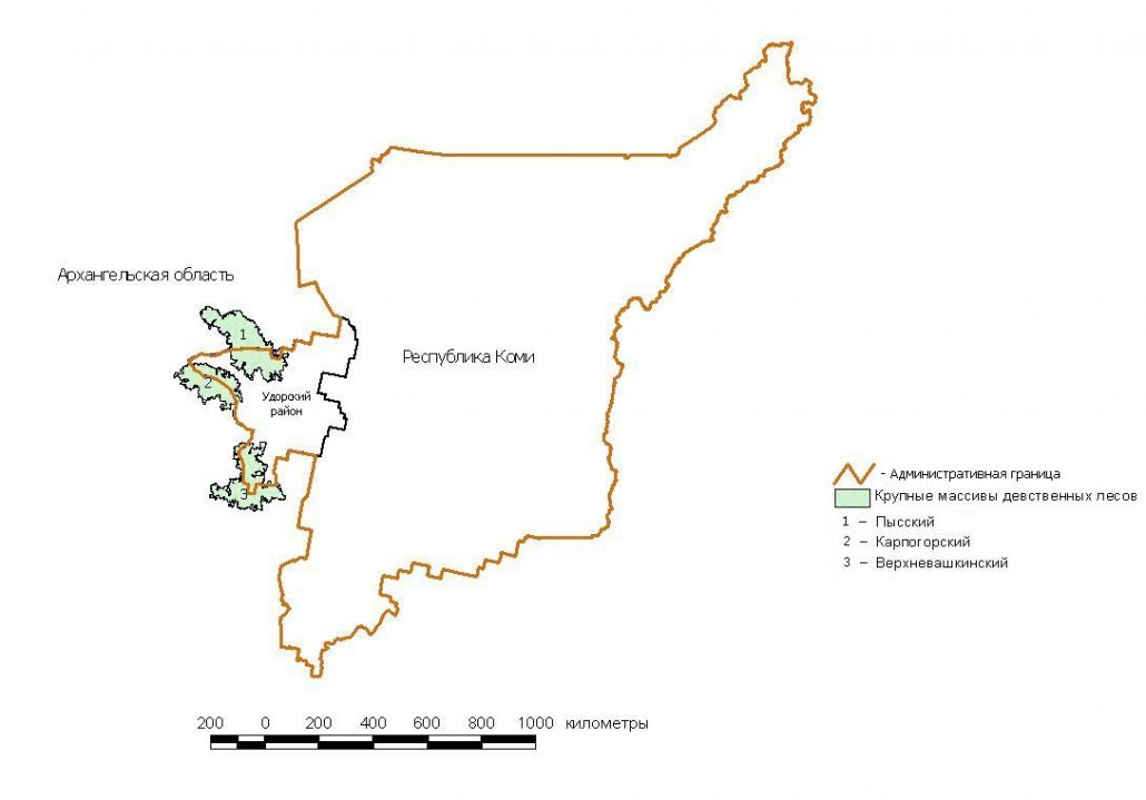 Крупные малонарушенные лесные территории (КМЛТ), находящиеся на границе Архангельской области и Республики Коми