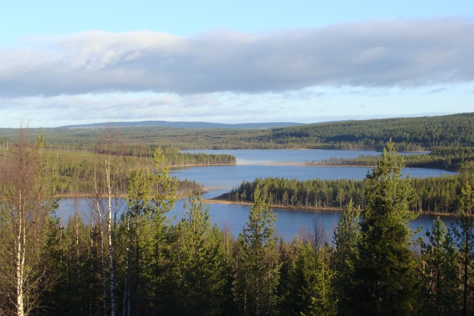Vilhelmina is a forest area with a large number of beautiful lakes and rivers
