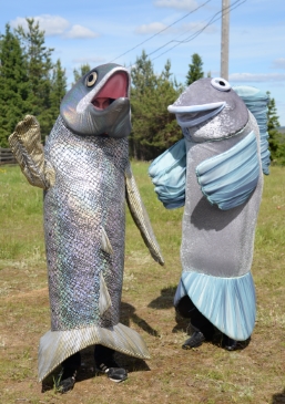 Salmon and greyling also took part in the celebration