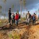 Silver Taiga Foundation ecologist N.V. Shuktomov: "We see everything from above, you can be sure of it!!!"