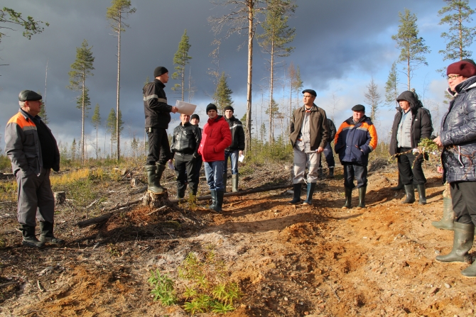 Silver Taiga Foundation ecologist N.V. Shuktomov: "We see everything from above, you can be sure of it!!!"