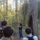 С сосной - старожилом прилузских лесов - знакомятся студенты-первокурсники СЛИ