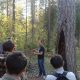 The first-year students of the Syktyvkar Forest Institute are getting familiar with the pine - old-timer of the Priluzje forests