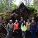 Old wind fallen spruce at the demonstration route for natural forest dynamics