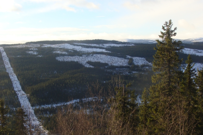 Clear fellings, power lines, and wind power plants located in the mountainous part of Vilhelmina are the major obstacles for the traditional Sami deer breeding